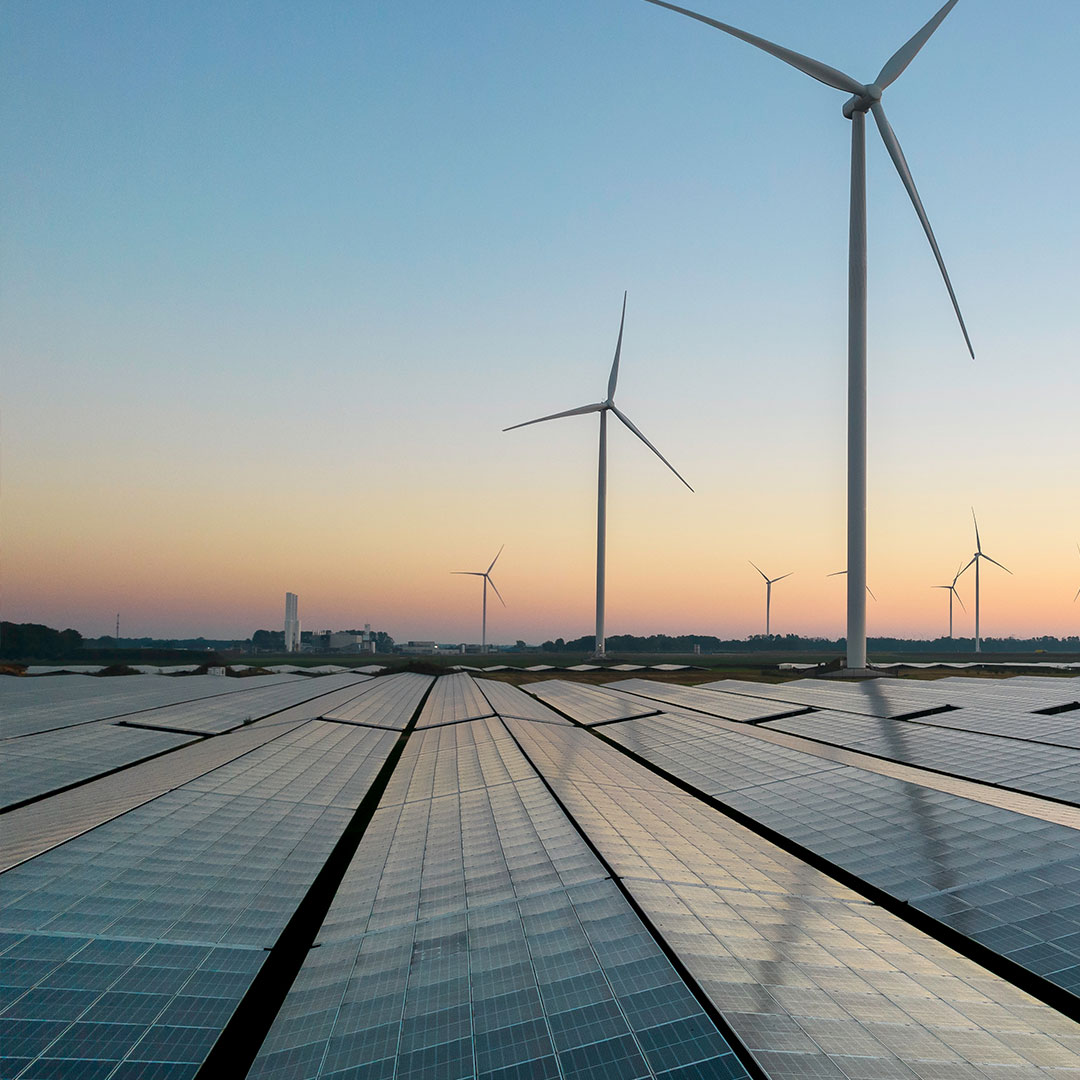 Rows of solar panels stretch across the foreground, with several large wind turbines standing tall in the background against a clear sky at sunset.