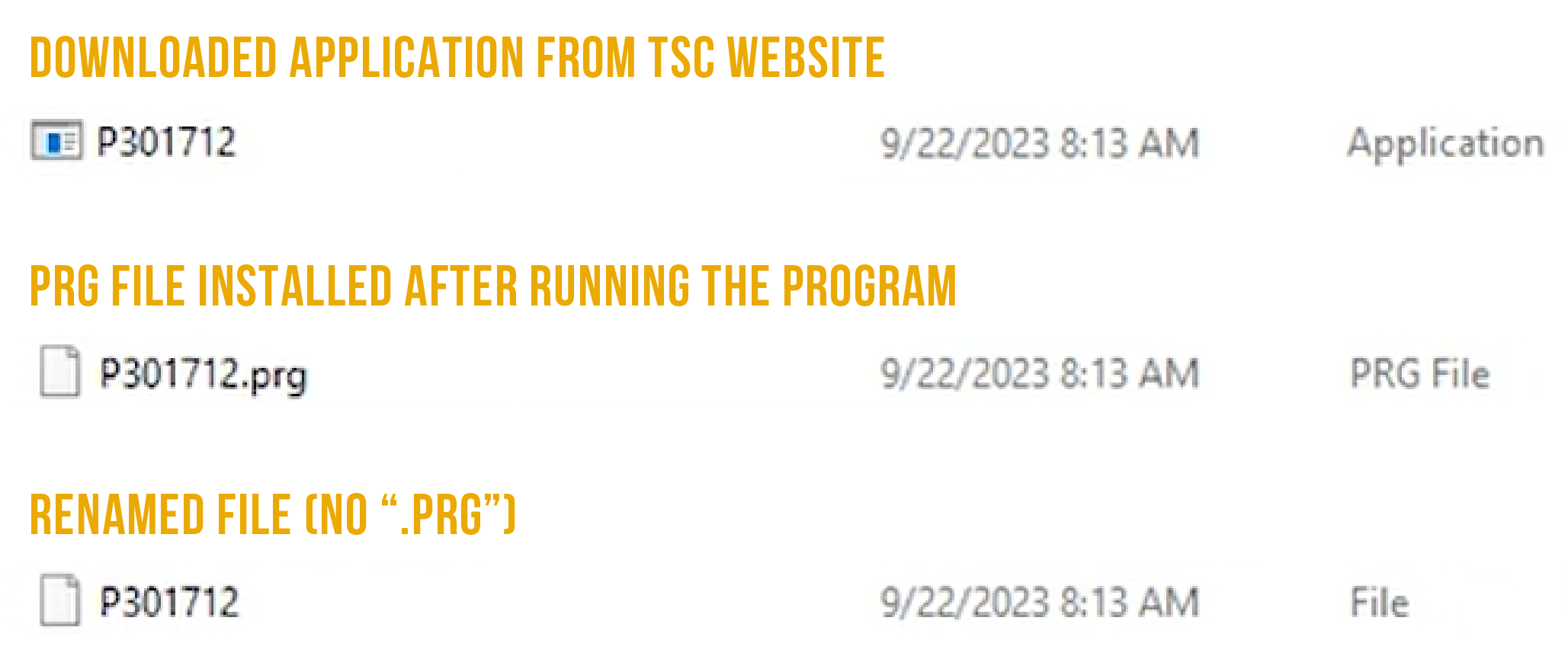 Three files listed: application, PRG, and one without extension; each labeled in bold orange text explaining origin or modification.